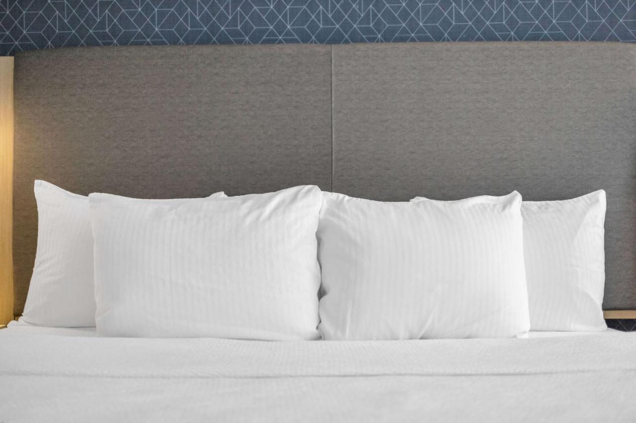 La Quinta Inn & Suites By Wyndham San Jose Airport-Downtown エクステリア 写真